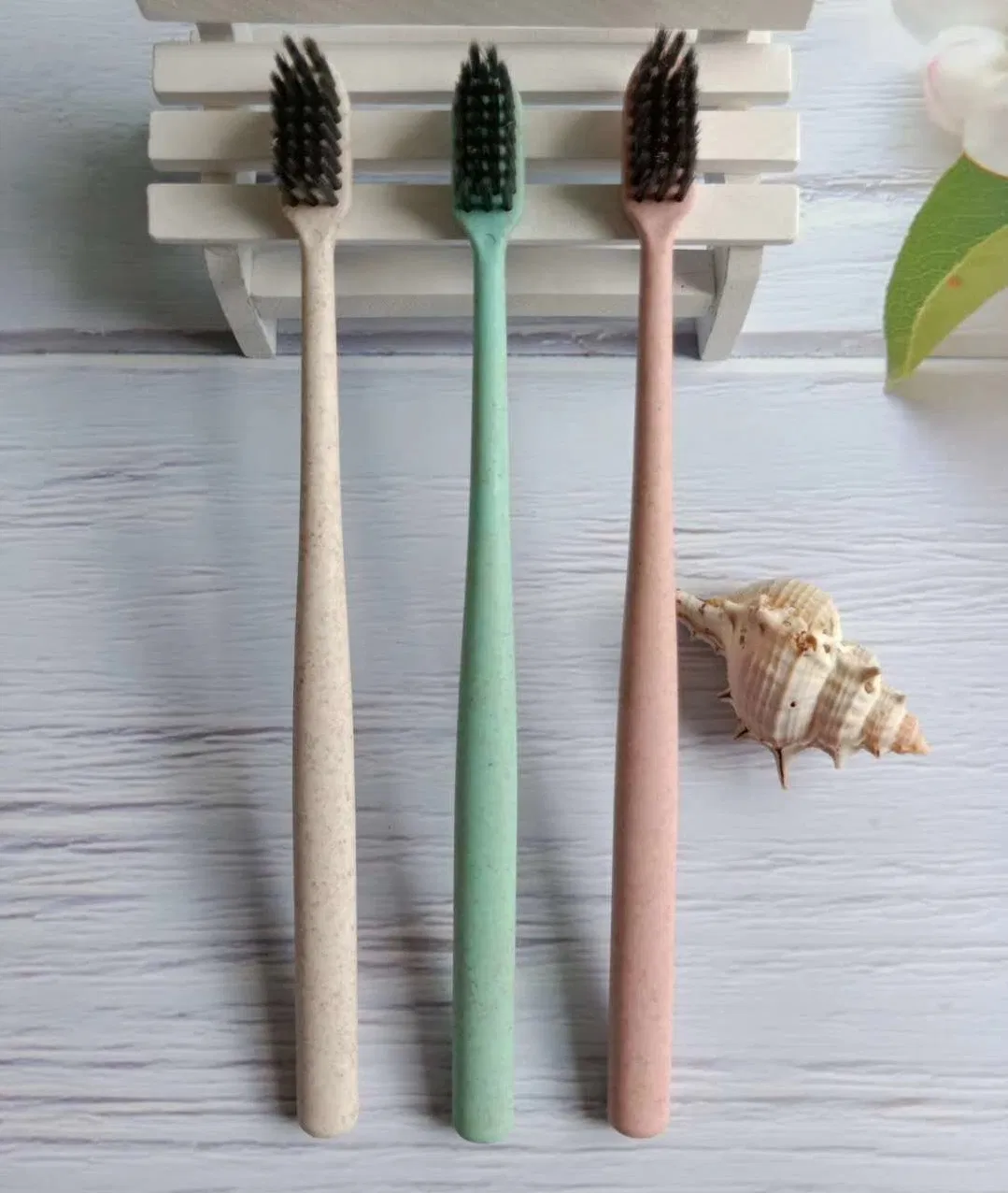 Eco-Friendly Corn Starch Toothbrush with Hotel Amenities for Hotel Room Using
