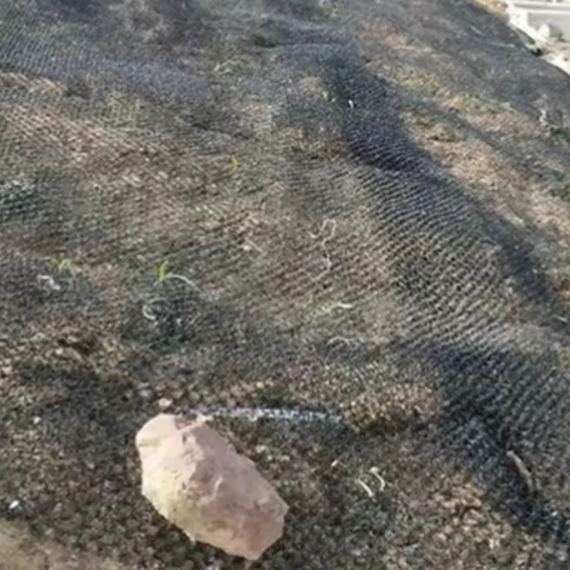 3D Geomat Erosion Control Mat Geomat