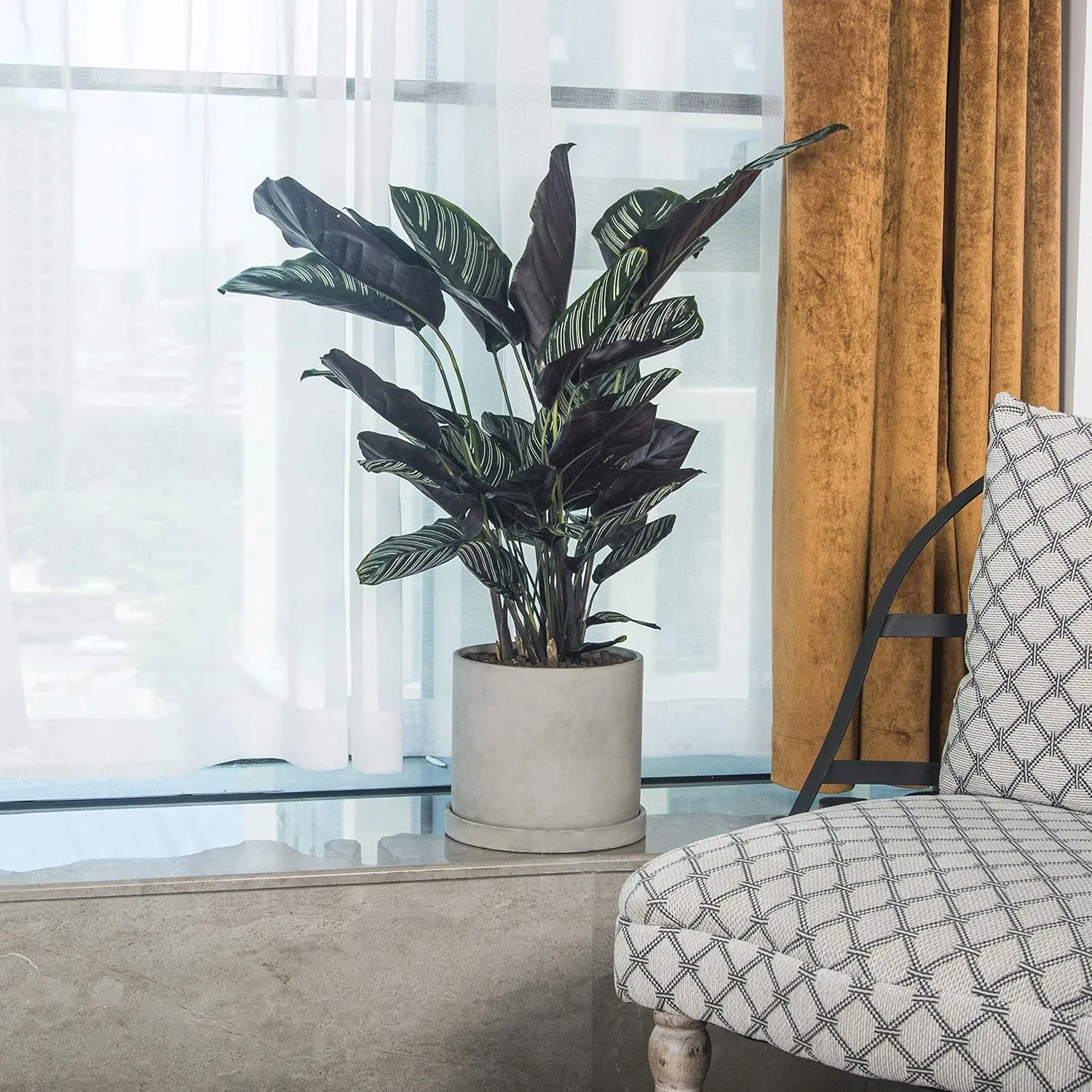 Retro Indoor Outdoor Cement Succulent Pot with Tray