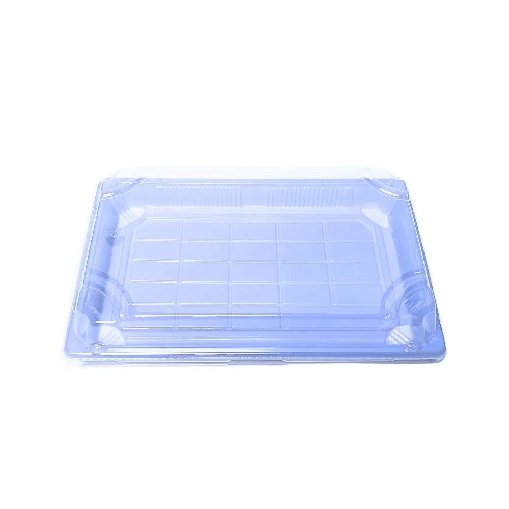 14 Oz Disposable Plastic Food Packaging Sakura Style to Go Sushi Box