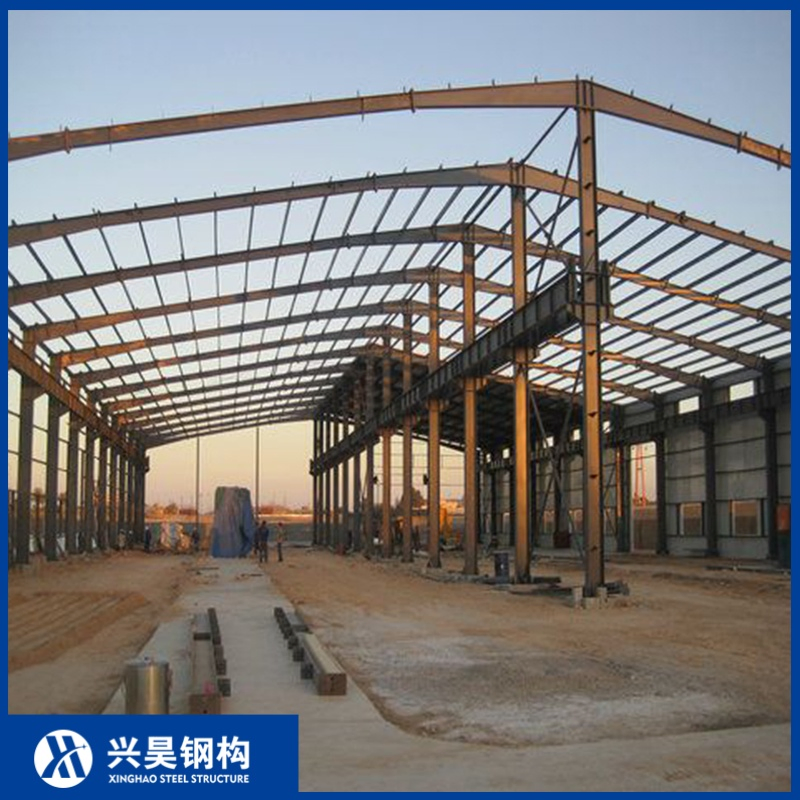 Agricultural Storage Facilities Using Prefabricated Steel Structure Buildings Workshops Warehouses with Steel Frames