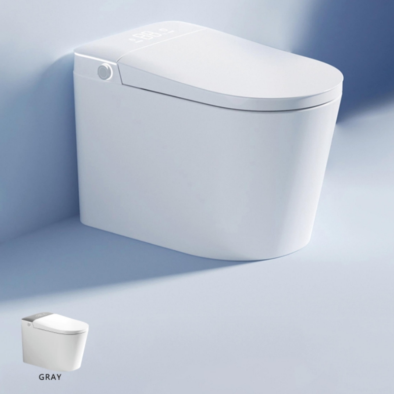 Minimally Customized Best-Selling Fashionable Ceramic Intelligent Toilet