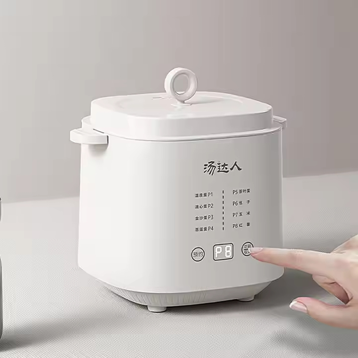 Premium Stainless Steel Electric Egg Cooker with Automatic Features