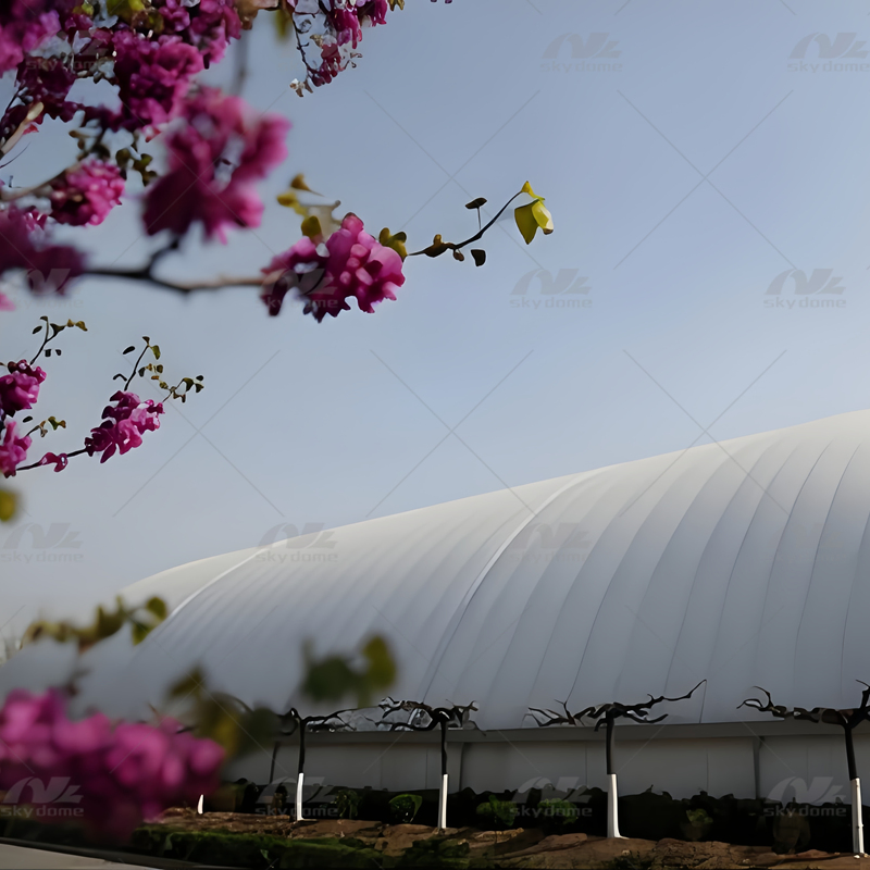 Good Quality of Inflatable Air Dome for Variety Sports