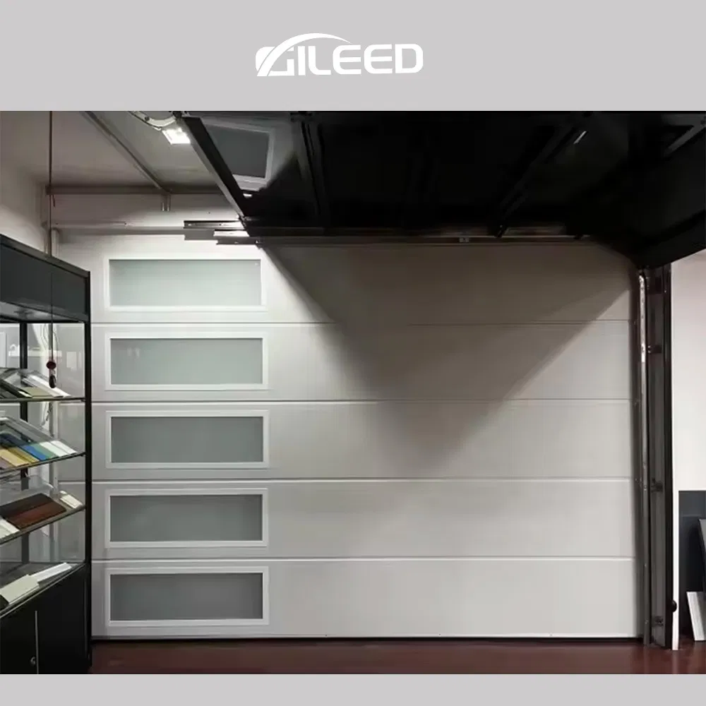 Factory Sell Electric Double Garage Door with Perspective Window Black Frosted Typhone Proof Insulation Door