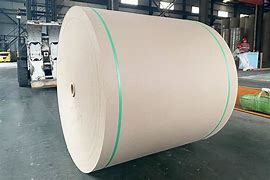 Specialty Extra-Large Industrial Paper Towel Roll Provider