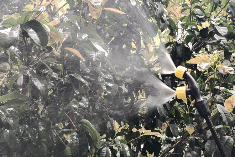 16 Liter HDPE Material Trolley Battery Sprayer with 9ah 12V Lead-Acid Battery