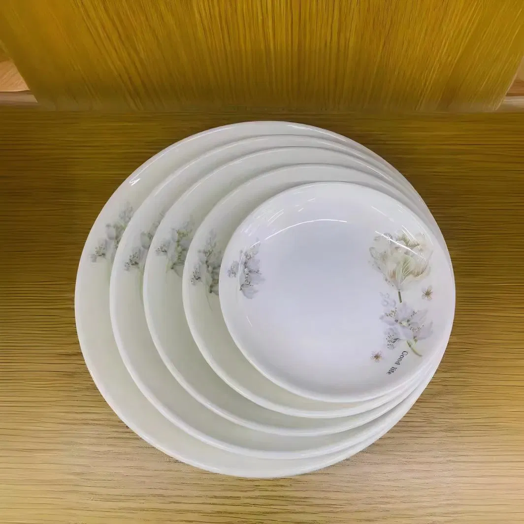 Rice Pasta Fuirt Plate Size 6"-14" Pad Printing Porcelain Ceramic Tableware
