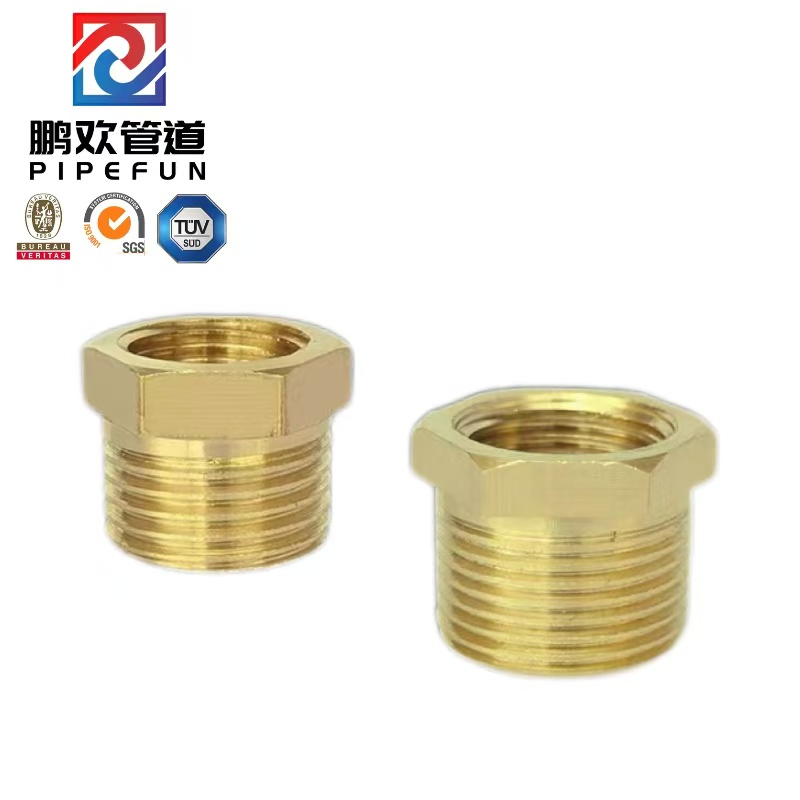Brass Steel Alloy Steel Pipe Fitting Bushing