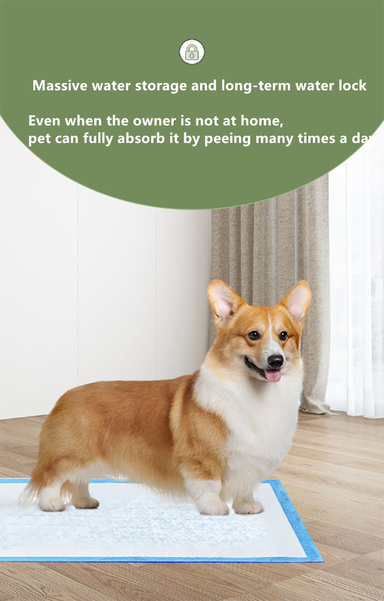Pet Underpad, Potty Pads for Dogs, Disposable Urine Bed Pads for Doggies, Piddle Training Pads for Indoor Factory Wholesale
