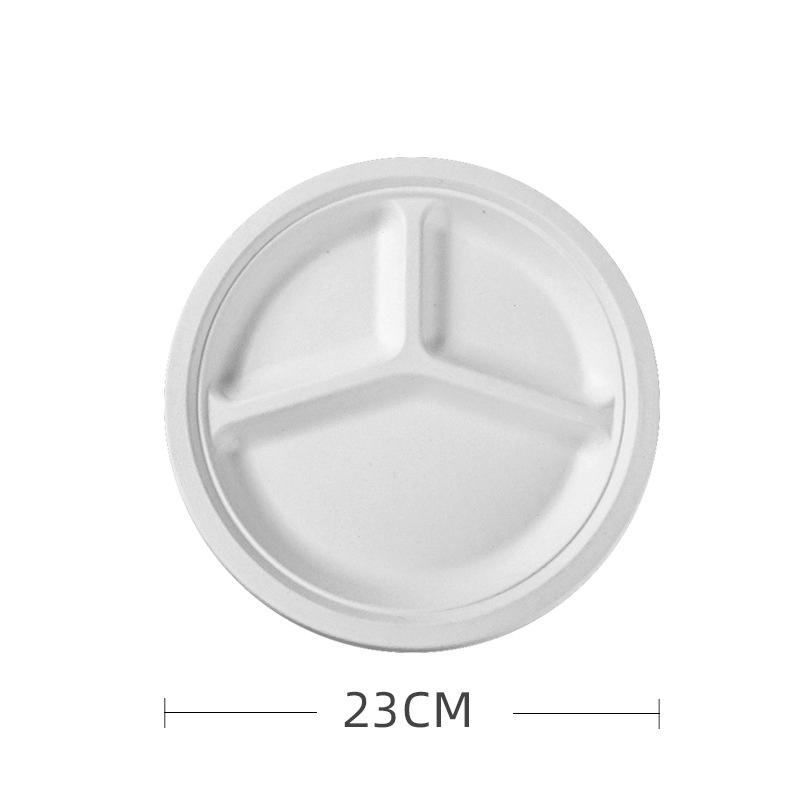 Hot Sale Disposable Sugarcane Pulp Bagasse Paper Plates