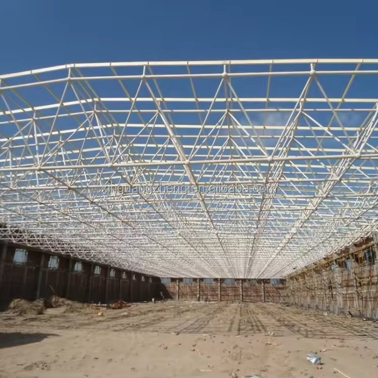 Steel Structure Cinema with Good Maintenance Material (SS-573)