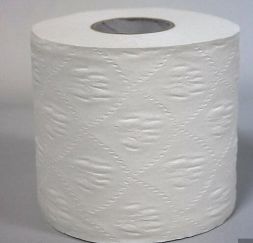 Premium Europe Asorbent 100% White Bathroom Roll