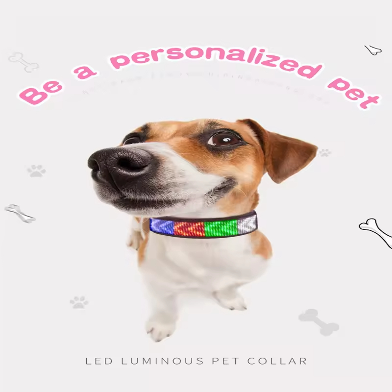 New Arrivals Dog Cat Indoor Rechargeable Lighting Flashing LED Band