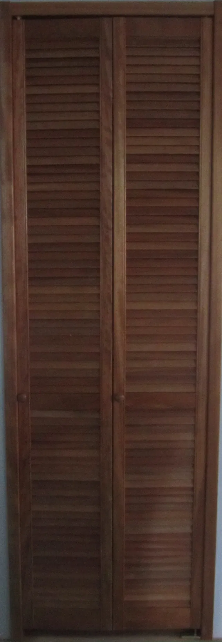 Aluminum Louver Door Swing up and Down (louver door)