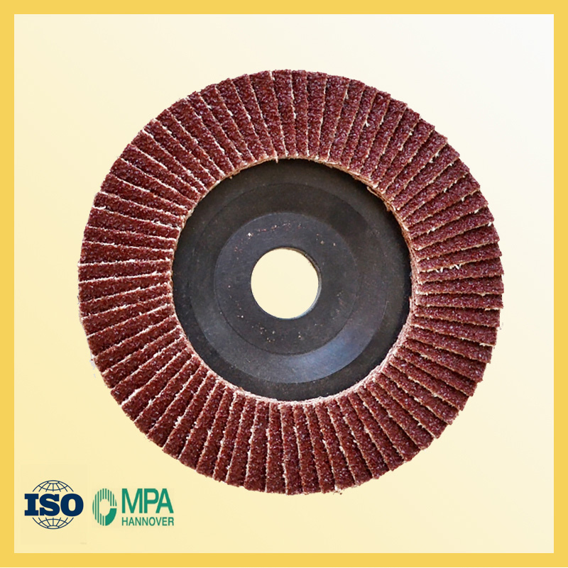 100X16mm Flap Disc for Polishing Metal
