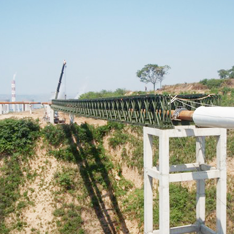 Manufacturer 321-Type Steel Structures Standard Prefabricated Bridge Modern Design