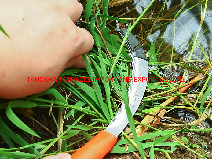 Serrated Sickle with Plastic Handle Agricultural Sickle for Weeding