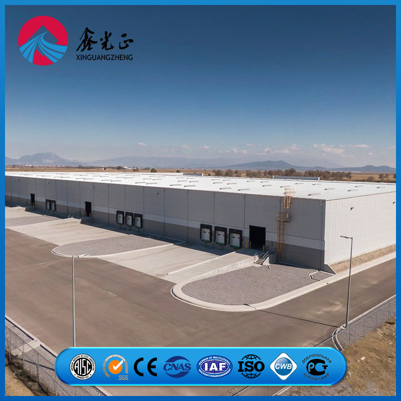 Standard Grid Modular Structural Arrangement Prefab/Prefabricated Metal Construction Steel Structure Storage Warehouse