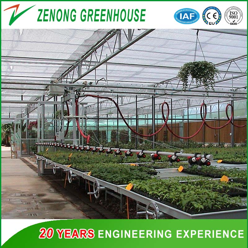 Self-Propelled Sprinkler with Three-Position Head for Greenhouse Irrigation System/Greenhouse Facility