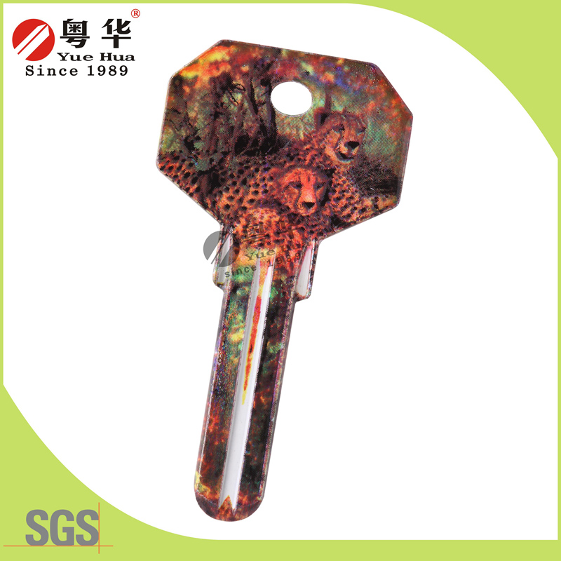 Mini 3D Animal Painted Color Remote Key Blanks for Locksmith