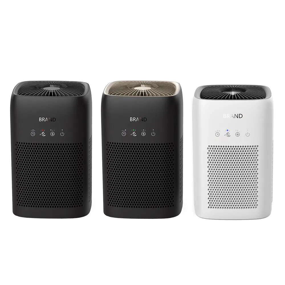 24V Low Noise Home Air Purifier Eliminates Dust/Pollen/Pet Dander/Smoke
