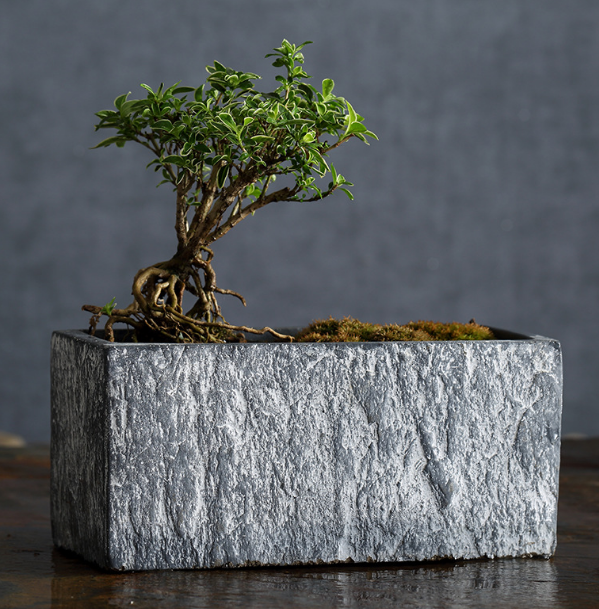 Горшки бетонные прямоугольные для сада патио