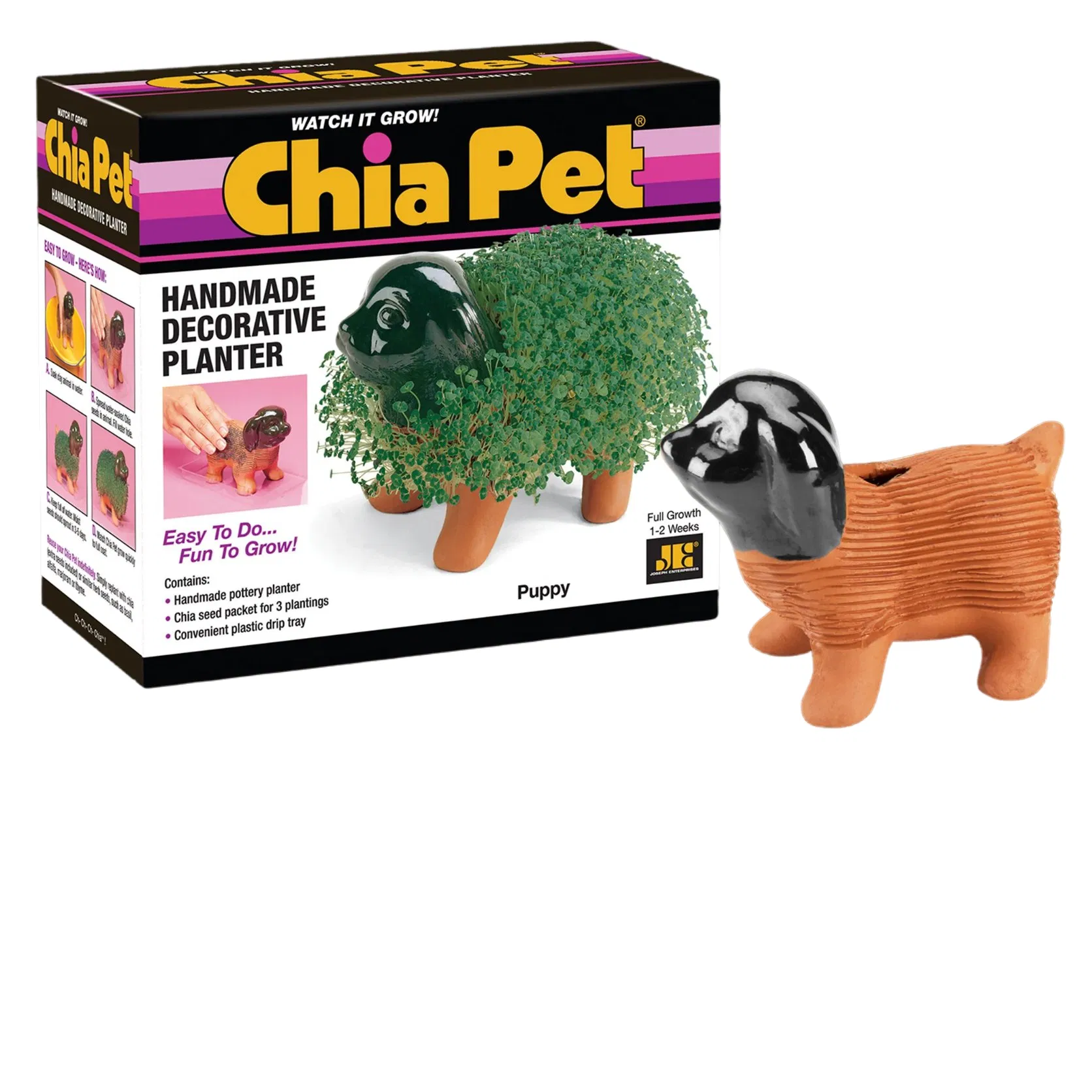 Pretty Chia Pet Puppy Decorative Pottery Grow Easy to Do and Fun to Grow Planter
