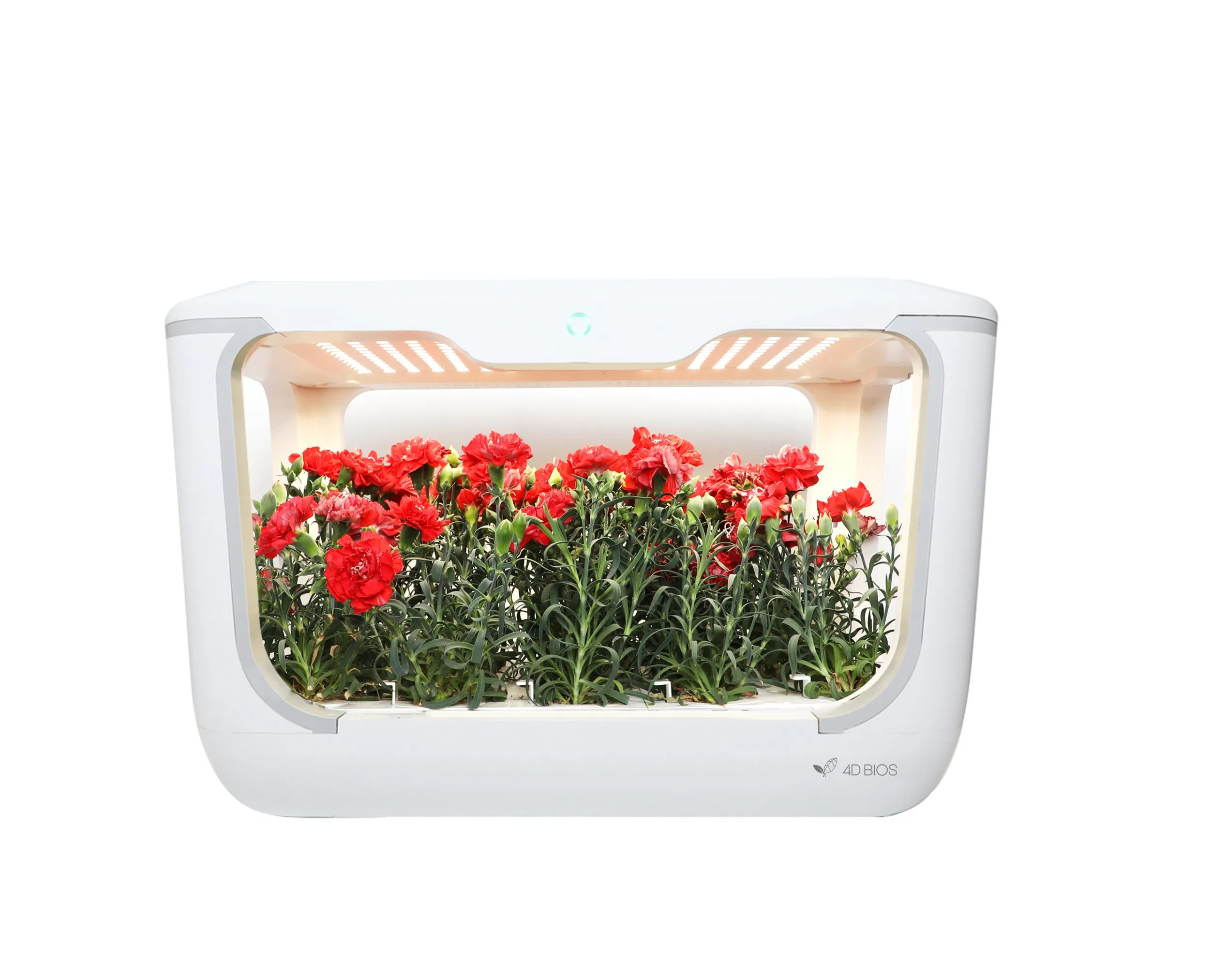 Hot Selling Hydroponic Indoor Garden System with LED Grow Lights