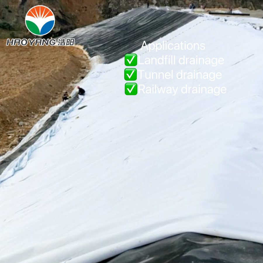 Fast Construction and Installation, HDPE Composite Geonet Be Used in Landfill Drainage