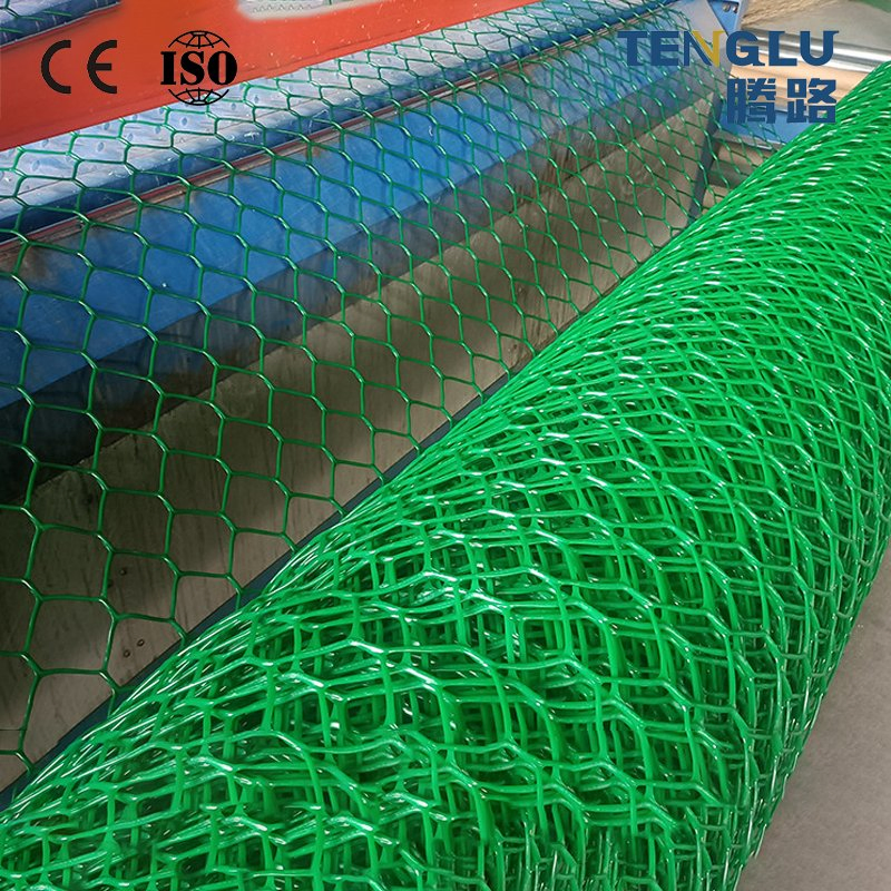 High Quality HDPE Plastic Geonet Drainage for Road Construction and Landfill Site
