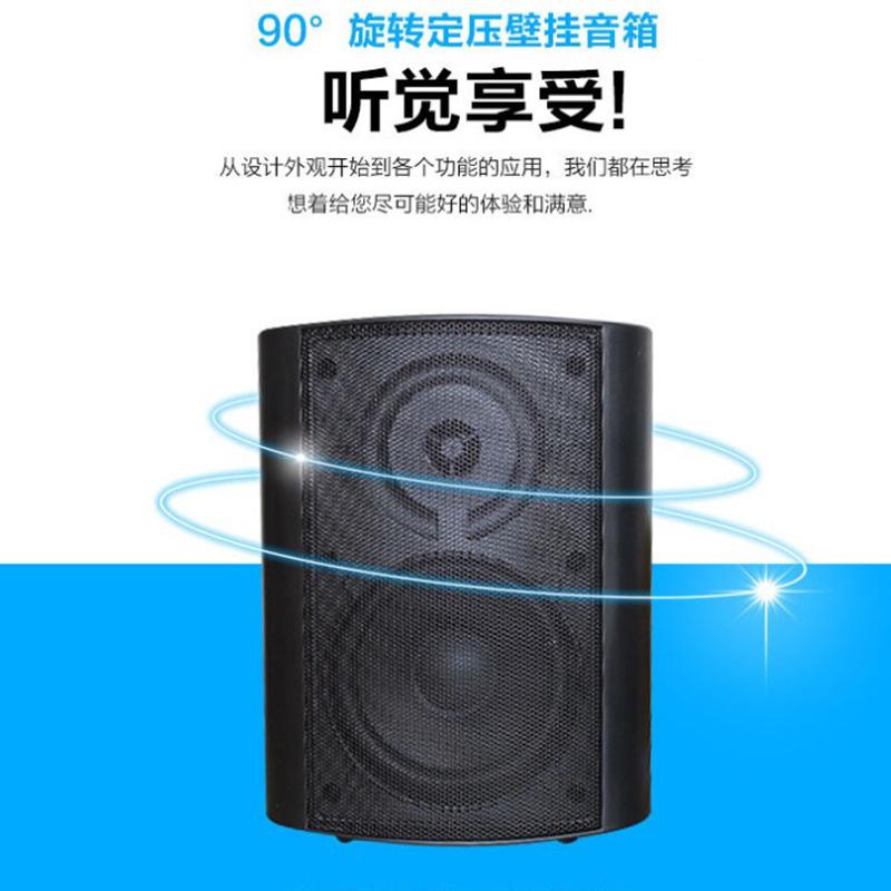Paper Cone Wall Mount Speaker Ws-3205