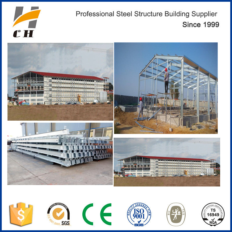 Factory Price Multilayer Metal Structure Light Steel Structure Prefabricated Chicken House Poultry Farm for Broilers and Layers with Equipment