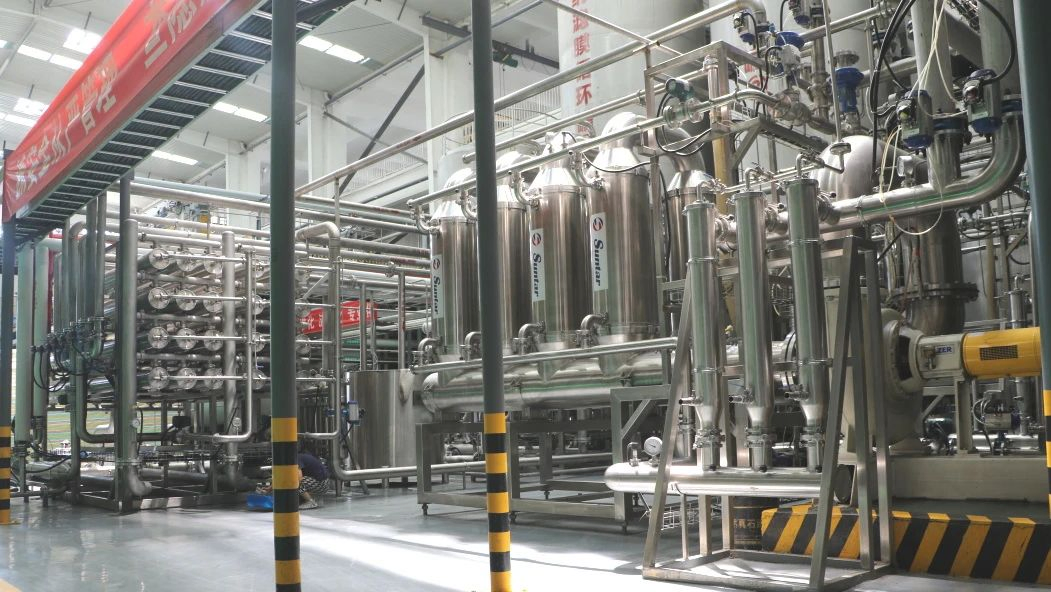 Fuyang Tech-Grade Sodium Gluconate Purity 99% White