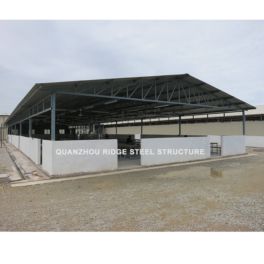New Type Light Steel Structure Warehouse Hangar Hall Price Workshop Storage Building
