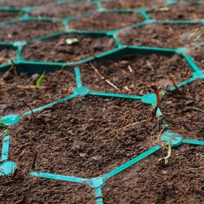 Dual-Purpose Eco-Friendly and Durable Permeable Pavers Grass Paver Grid for Parking Lot Greeining