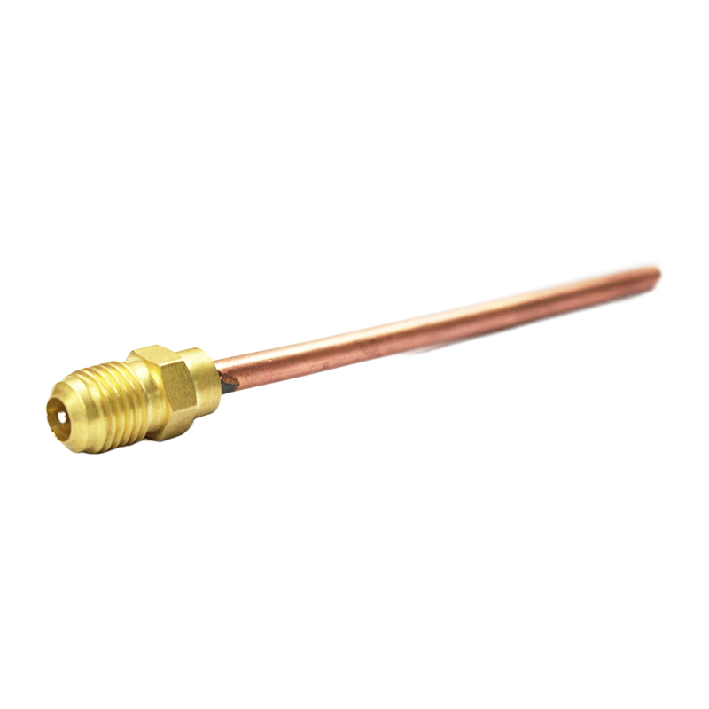 Good Quality Charging Valve Access Valve (AV-03)