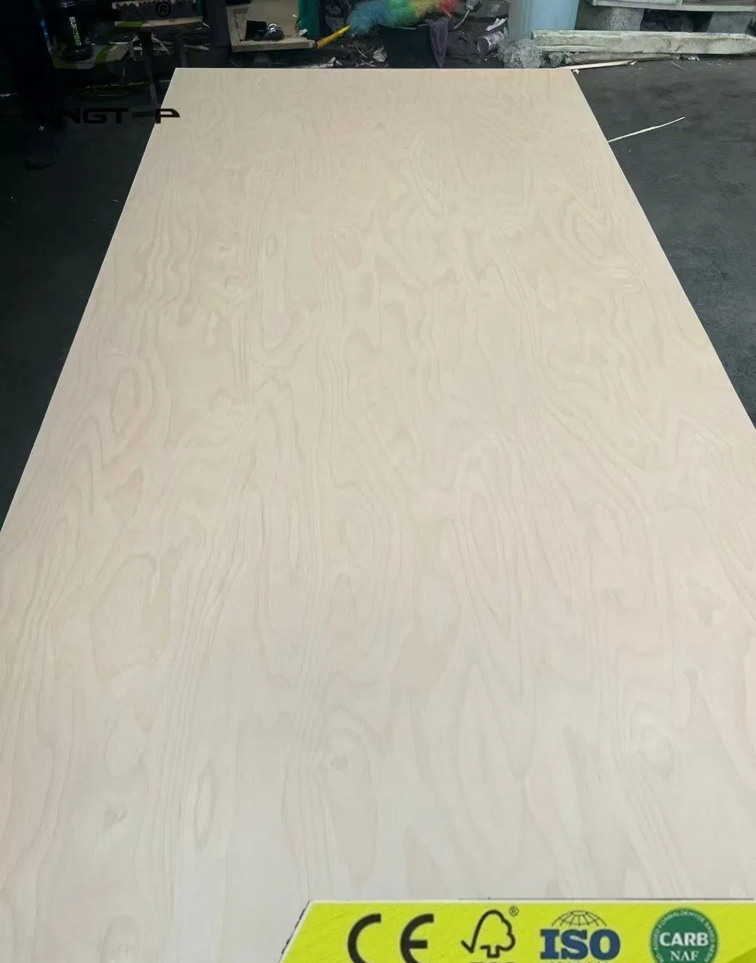 Natural White Birch Veneer/Birch Wood Veneer Thickness 0.3-0.55mm C/D/E Grade for Plywood Production with FSC