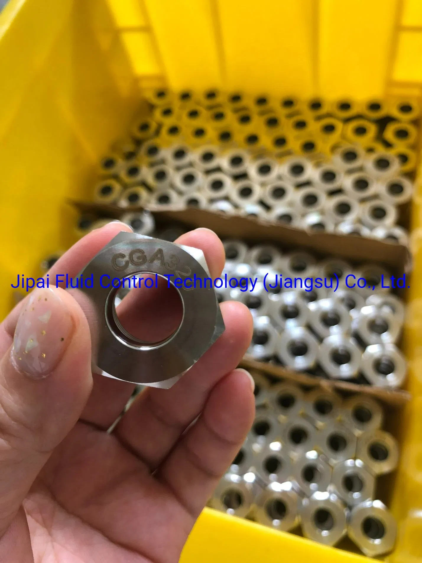 Stainless Steel Bullnose Cylinder Connector BS3 DIN477 Cga580 Standard Fitting for Cylinder