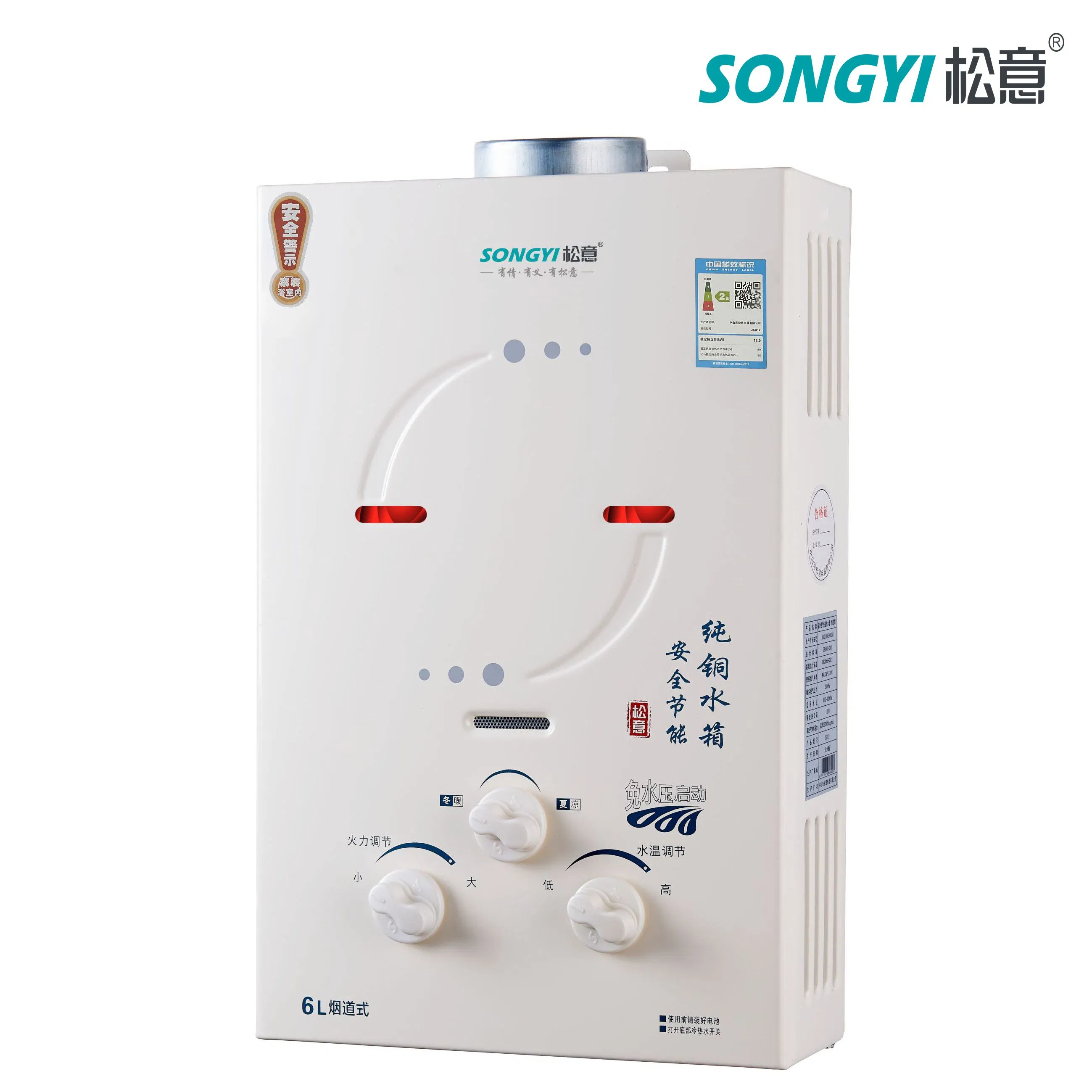 Indoor Flue Type Gas Water Heater Safety and Convenient for Residential Home Applications