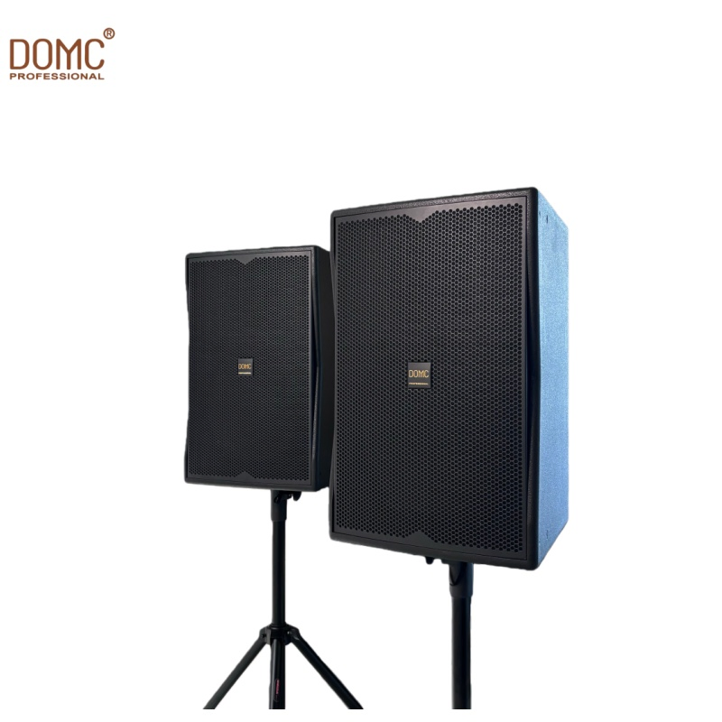Domc K210 10-Inch Speaker for Home and Professional Use