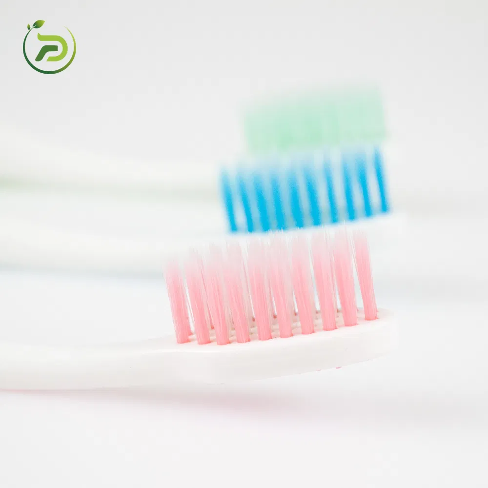 ISO Approved Manufacturer OEM Plastic Nylon Charcoal Adult Manual Toothbrush