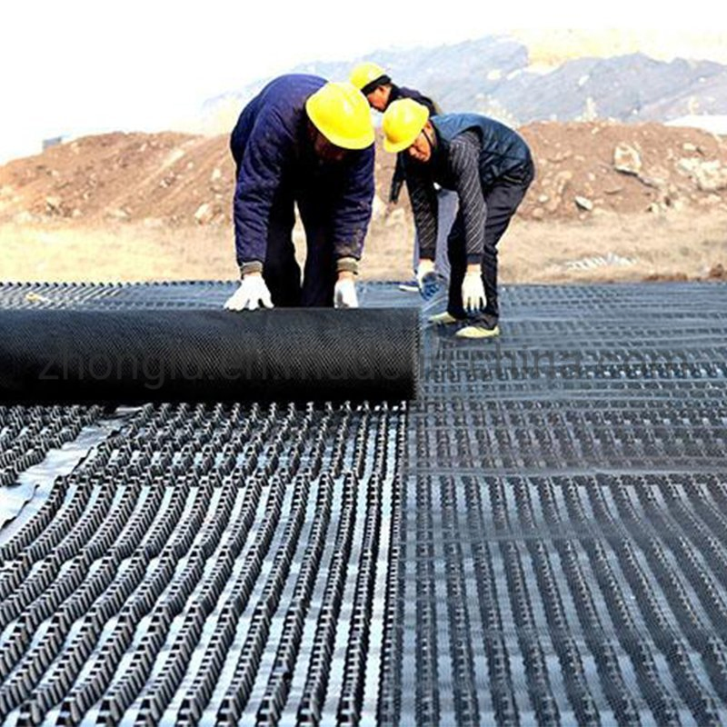 HDPE Drainage Board for Foundation and Roof Drainage