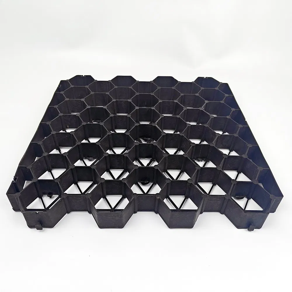 HDPE Plastic Grass Grid Paver Driveway Mat for Garden Outdoor Landscape Park Road Parking Lot Modern