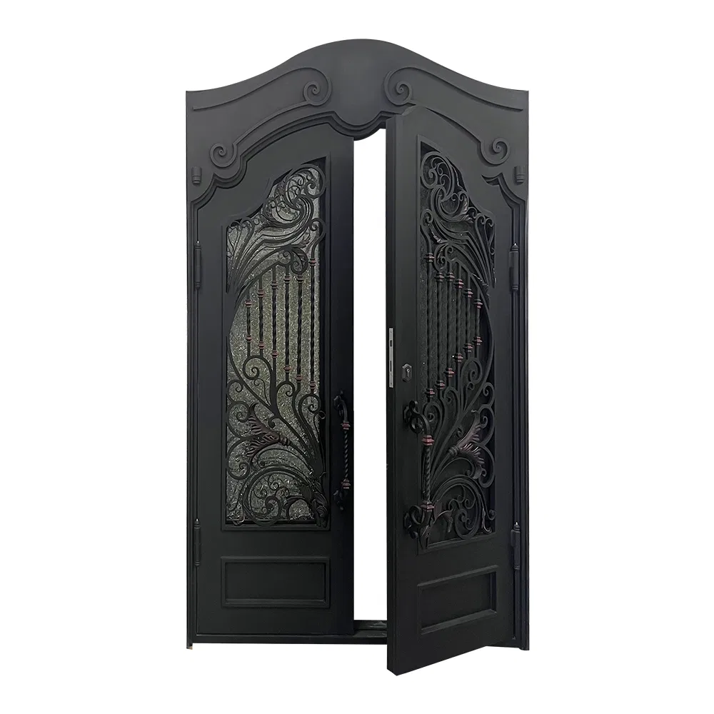 Socool OEM Design Luxury France Steel and Glass Customized Modern Front Door