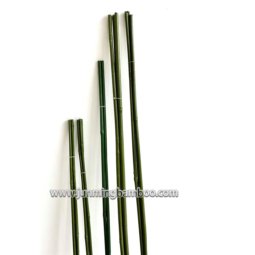 Factory Price Natural Raw Plastic Coated Tonkin Bamboo Poles for Grape Support