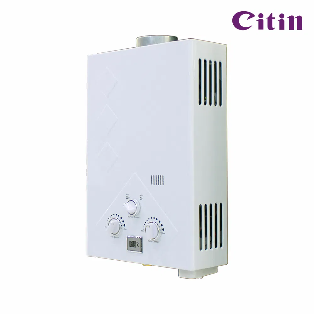 High-Perforamance Manual Control Flue Type Hot Water Heater 6-12L Capacity Copper Technology