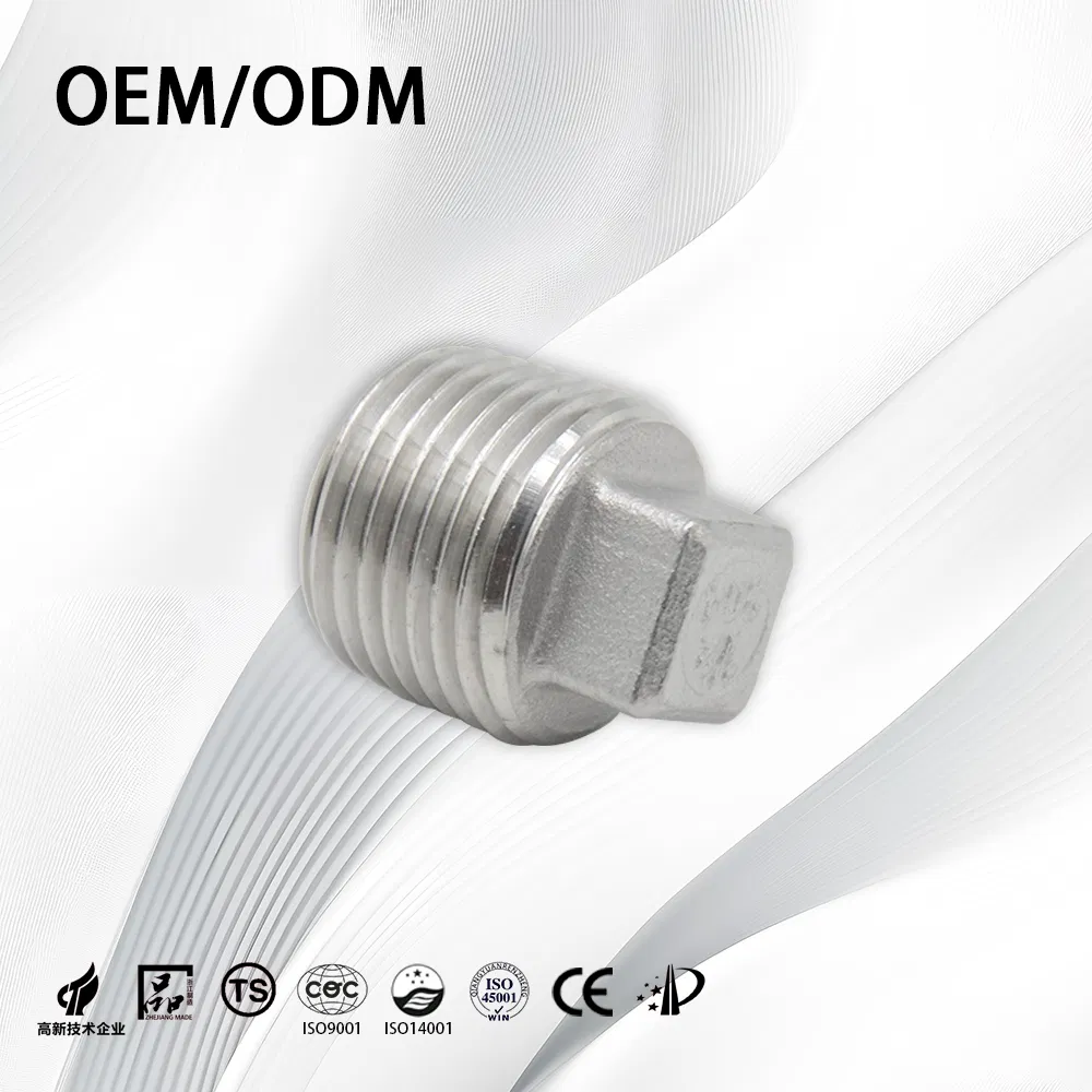 Stainless Steel Industrial Customize OEM NPT BSPT Square End Plug