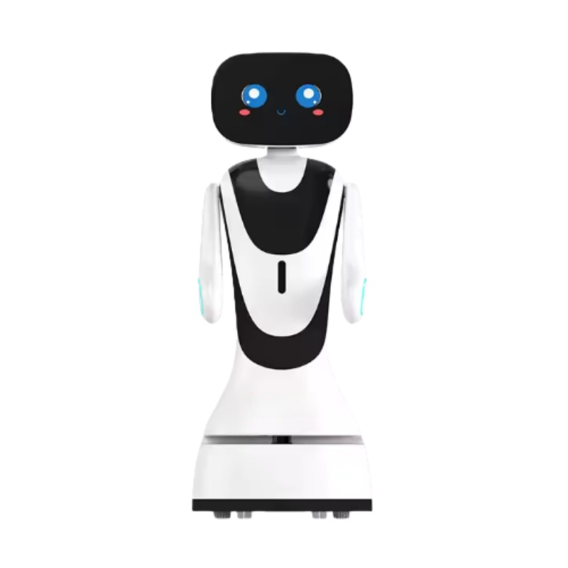 Programmable Open Sdk Intelligent Reception-Timo Service Robot