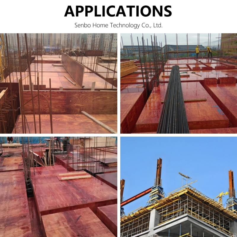 Customizable Size Thickness Black / Brown / Red Film Faced Plywood for Construction